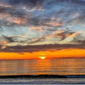 Meet your Posher, Bella